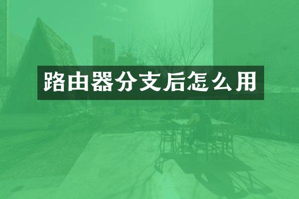 路由器分支后怎么用