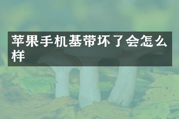 苹果手机基带坏了会怎么样