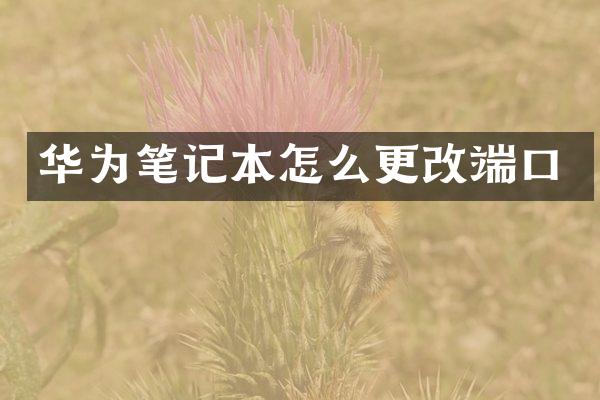 华为笔记本怎么更改端口