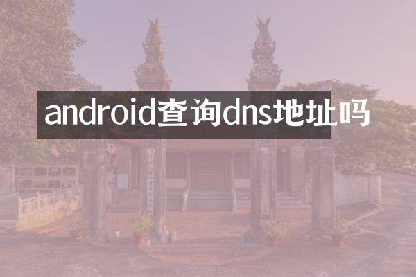 android查询dns地址吗