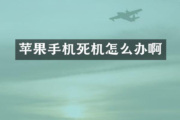 苹果手机死机怎么办啊