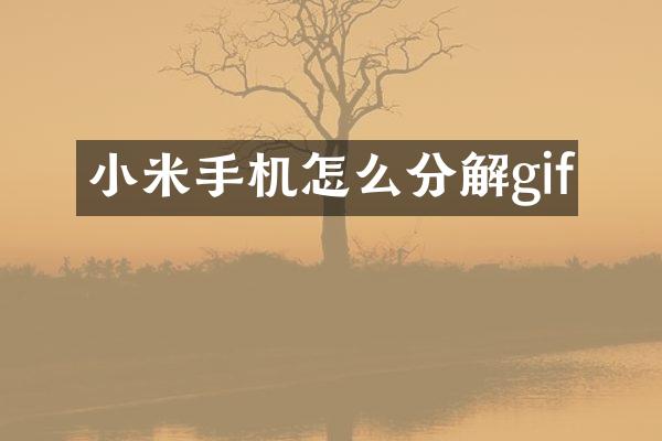 小米手机怎么分解gif