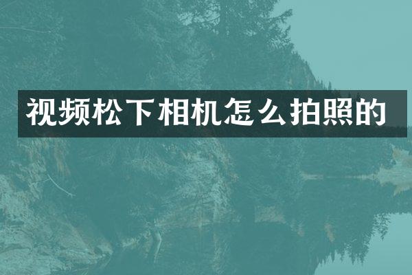 视频相机怎么拍照的