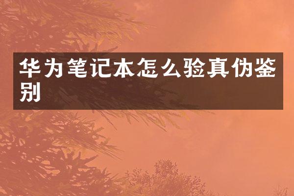 华为笔记本怎么验真伪鉴别