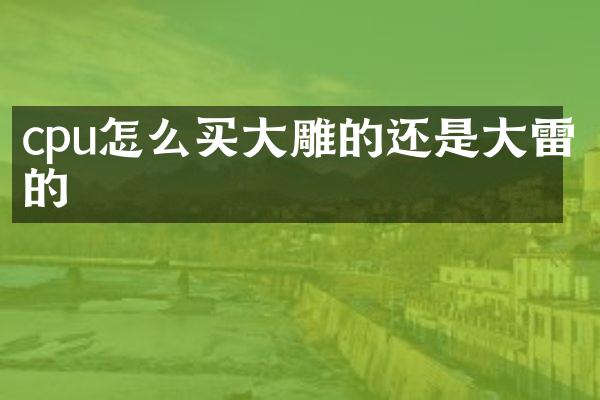 cpu怎么买大雕的还是大雷的