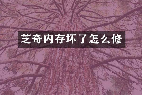 芝奇内存坏了怎么修