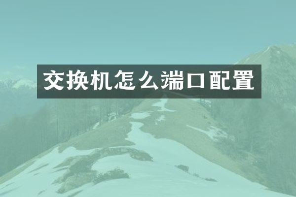 交换机怎么端口配置