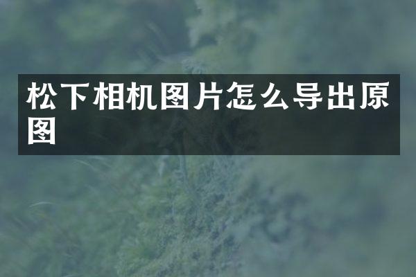 相机图片怎么导出原图