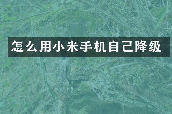 怎么用小米手机自己降级