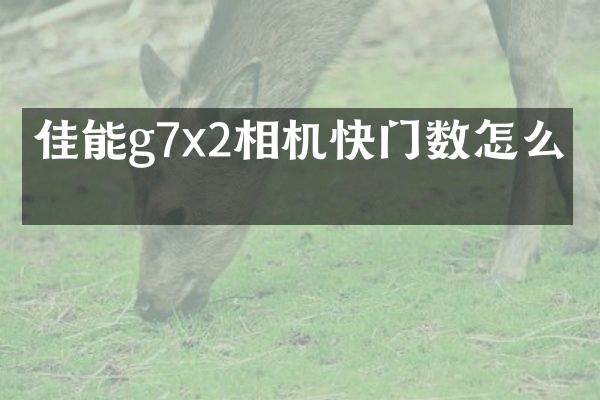 佳能g7x2相机快门数怎么看