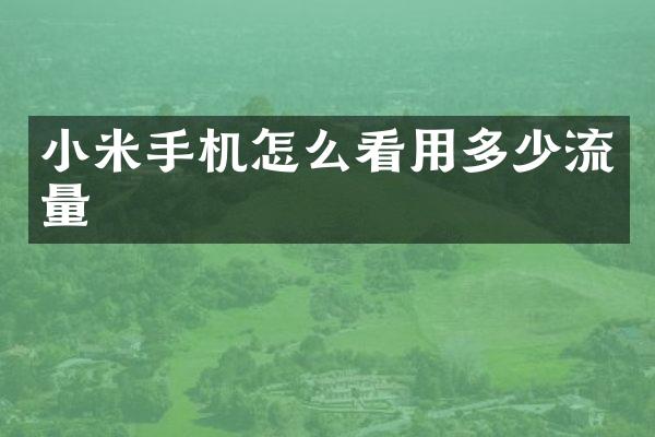 小米手机怎么看用多少流量