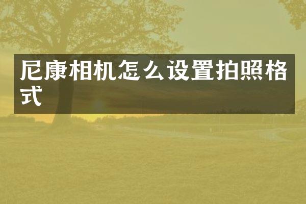 尼康相机怎么设置拍照格式