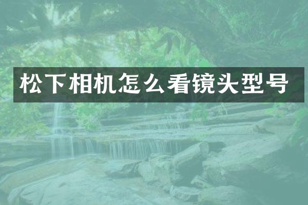 相机怎么看镜头型号