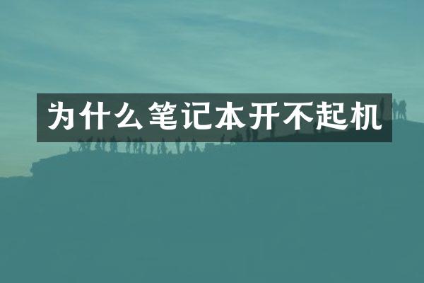 为什么笔记本开不起机