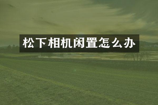 相机闲置怎么办