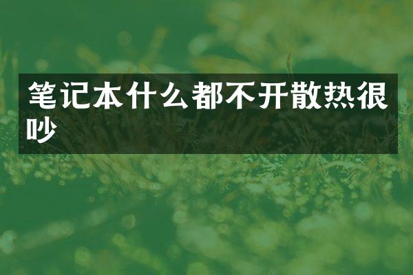 笔记本什么都不开散热很吵
