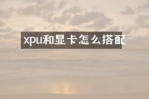 xpu和显卡怎么搭配