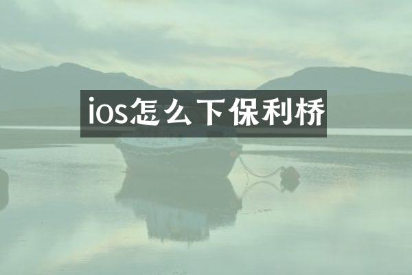 ios怎么下保利桥
