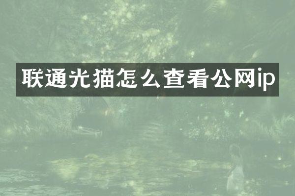 联通光猫怎么查看公网ip