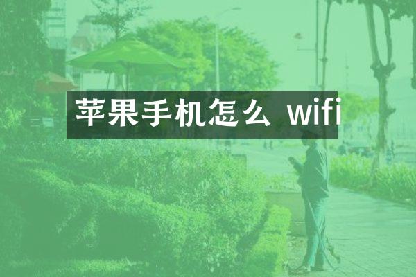 苹果手机怎么 wifi