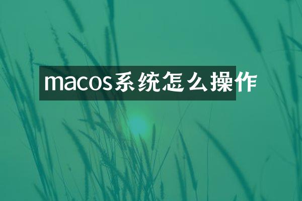 macos系统怎么操作