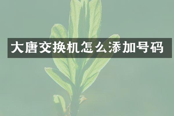 大唐交换机怎么添加号码