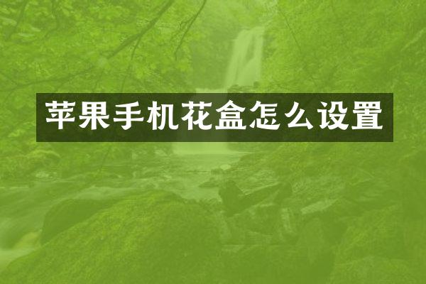 苹果手机花盒怎么设置