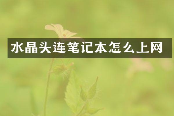 水晶头连笔记本怎么上网