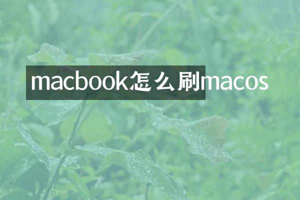 macbook怎么刷macos