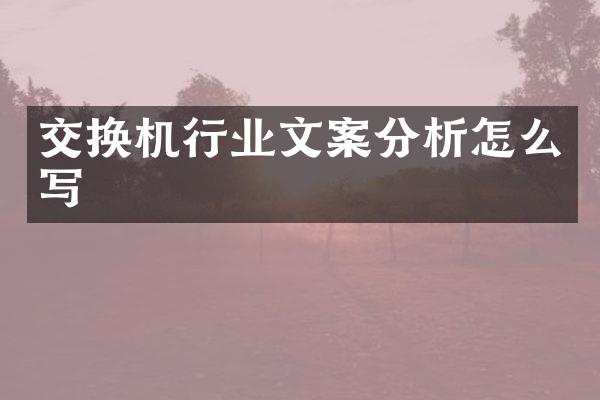 交换机行业文案分析怎么写