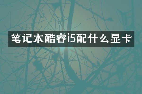 笔记本酷睿i5显卡