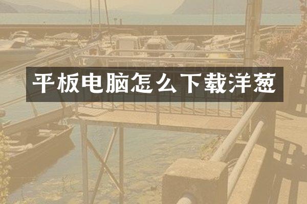 平板电脑怎么下载洋葱