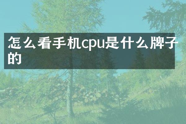 怎么看手机cpu是什么牌子的