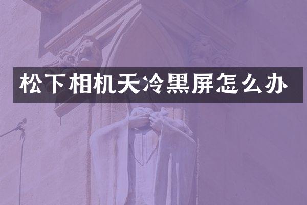 相机天冷黑屏怎么办