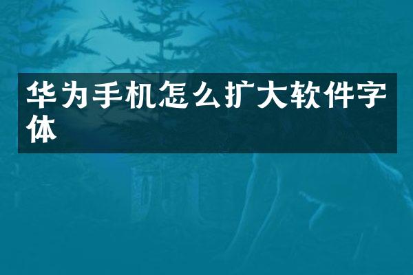 华为手机怎么扩大软件字体