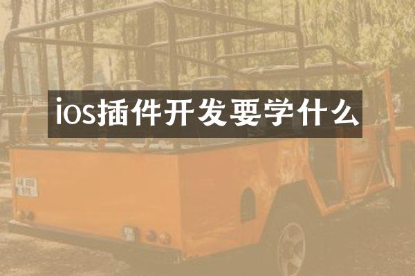 ios插件开发要学什么