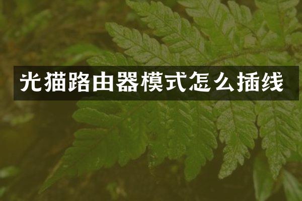 光猫路由器模式怎么插线