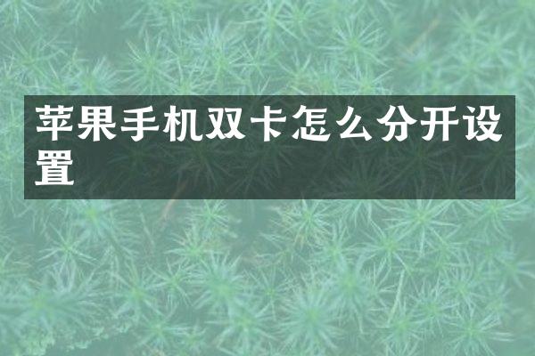 苹果手机双卡怎么分开设置