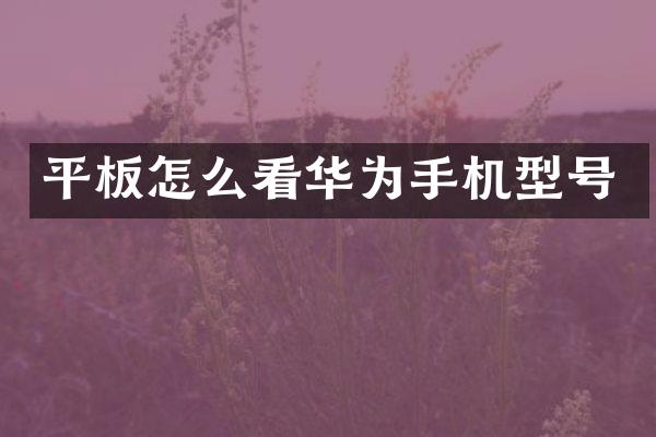 平板怎么看华为手机型号
