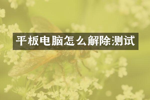 平板电脑怎么解除测试
