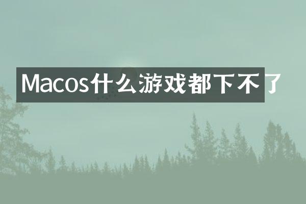 Macos什么游戏都下不了