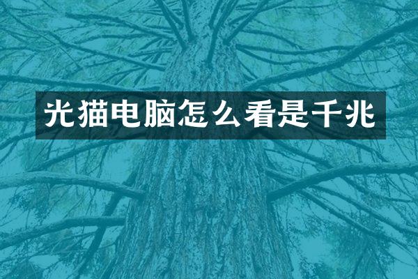 光猫电脑怎么看是千兆