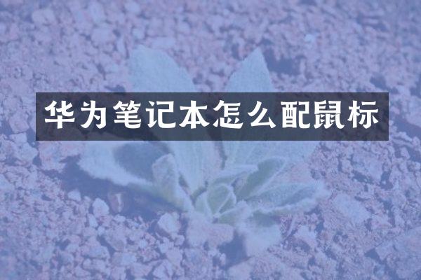 华为笔记本怎么配鼠标