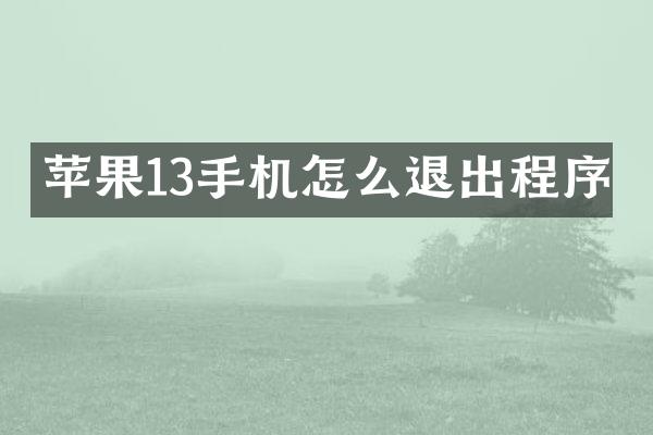 苹果13手机怎么退出程序