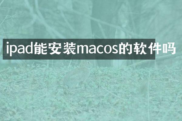 ipad能安装macos的软件吗