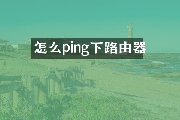 怎么ping下路由器