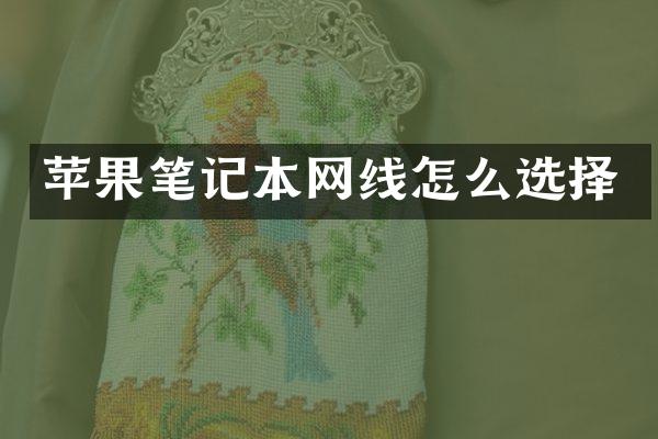 苹果笔记本网线怎么选择