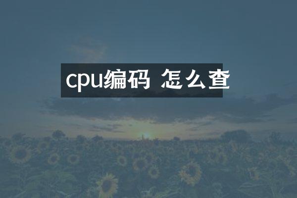 cpu编码 怎么查