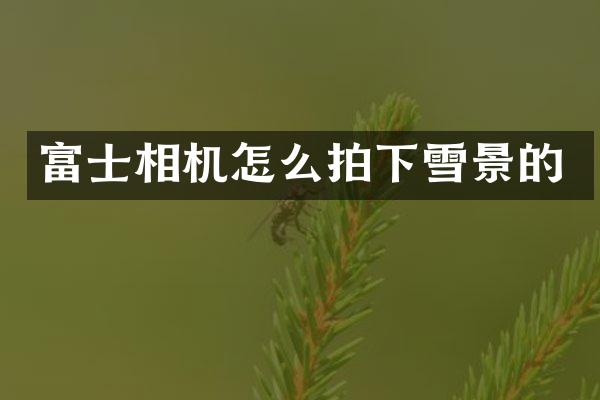 富士相机怎么拍下雪景的
