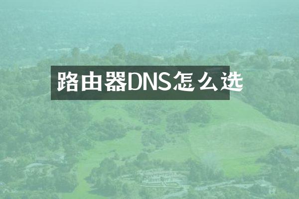 路由器DNS怎么选